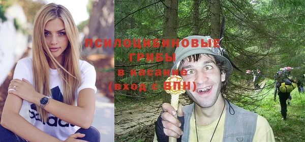 крисы Алексеевка