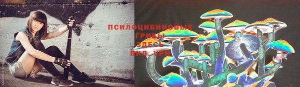 крисы Алексеевка