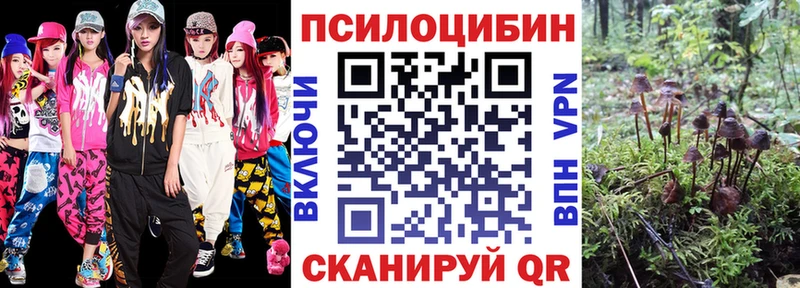 Галлюциногенные грибы Cubensis  ссылка на мегу ссылка  Жирновск 